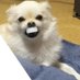 日経練馬 常盤台 (@nikkeinerima) Twitter profile photo 日経練馬 常盤台 (@nikkeinerima) Twitter profile photo