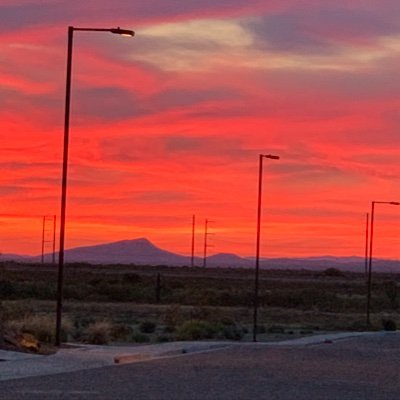 njsayer's profile picture. Executive & Systemic Team Coach | Igniting Director+ & Rising Leaders to Spark Change