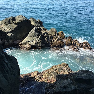 Alejand75608171's profile picture. 