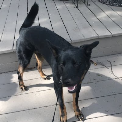 CadenLuce's profile picture. 