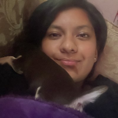 AnitaVizzu's profile picture. 