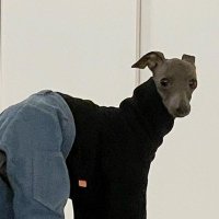 너머돼? (@0scientist0) 's Twitter Profile