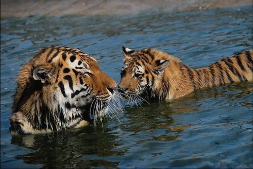 AndreyGrinevic's profile picture. 