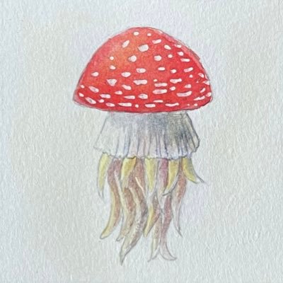 まちこさんのプロフィール画像