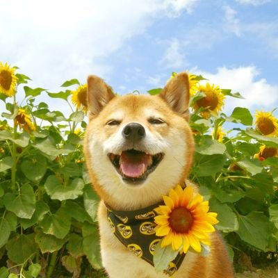 9ra6utya2tya2's profile picture. 