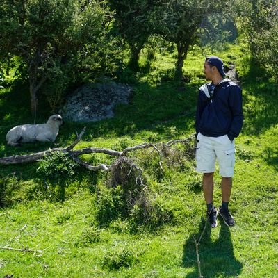 mardepan's profile picture. Draw me a sheep. Or a kraken.