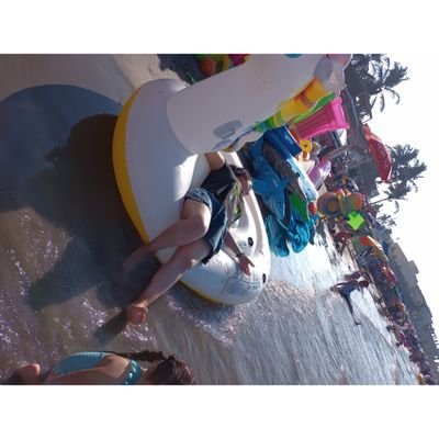 yerbeero's profile picture. 🌴Veracruzana.