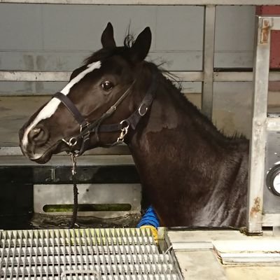 ウエツ🏇さんのプロフィール画像