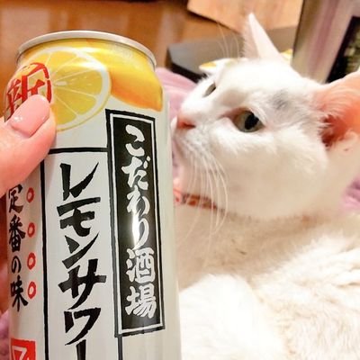 るき🍋さんのプロフィール画像