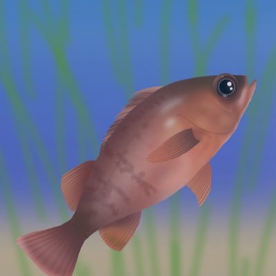 あかめばるさんのプロフィール画像