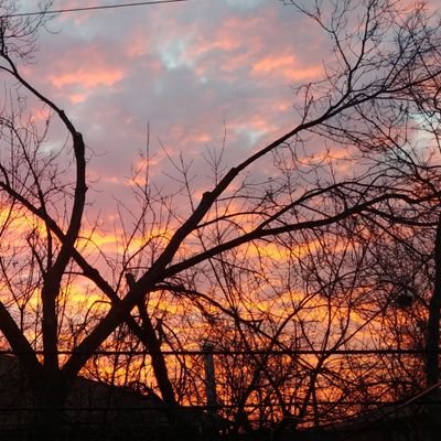 Daryl_Santos's profile picture. 