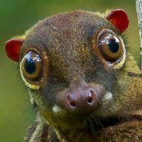 𝕻𝖆𝖗𝖆𝖘𝖔𝖈𝖎𝖆𝖑𝖎𝖙𝖞 (@parasociality) 's Twitter Profile Photo