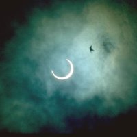 Luca (@proxyerrror) Twitter profile photo