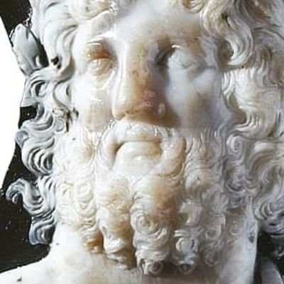 MuseoArcheoVene Profile Picture