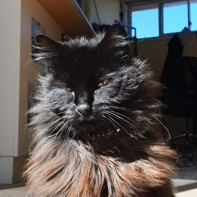 bastardator's profile picture. truth based troll. i'll say what i really think, but only because i know it really irks you