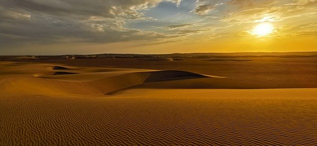 Amine01660864's profile picture. 