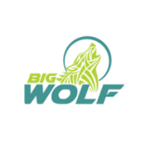 Big Wolf Marketing UK Leaders in B2B Telemarketing Services