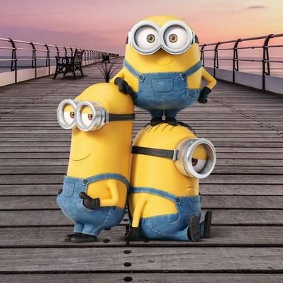 pugal34784991's profile picture. 