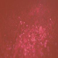 The Murmus Zone (@murmusp) 's Twitter Profile