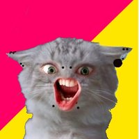SAM BURTON (@limeslimetime) 's Twitter Profile