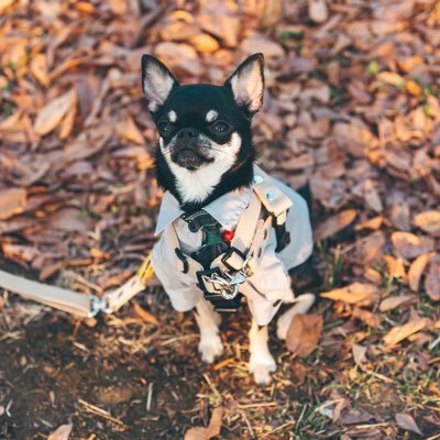 Ludens_D's profile picture. 대학원생 공부계 / 사회학 / 사회이론 / STS / ANT / OOO 등에 관심.