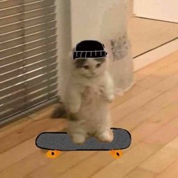 Kyowoa's profile picture. 6% まんこぺろぺろ