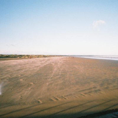 woopwoopidy's profile picture. 