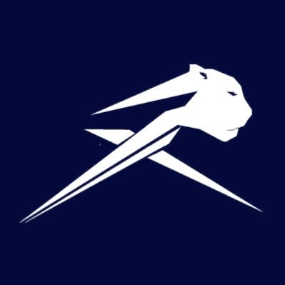 PantheraF1Team's profile picture. 🐆