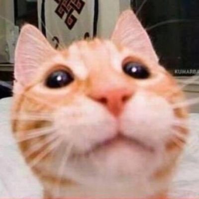 vhlkddtukddty12's profile picture. 