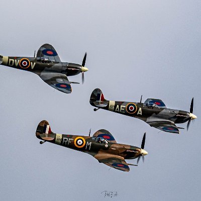 PatFord36371637's profile picture. Photographer