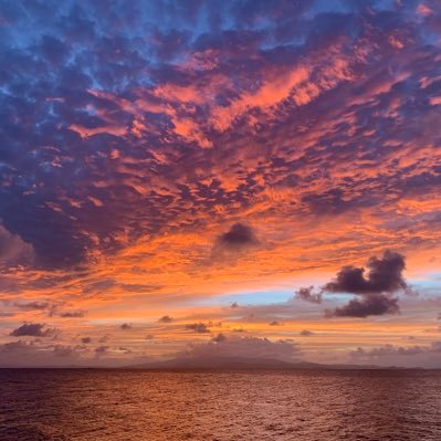 Kfreedom47's profile picture. 