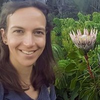 Carolina Diller (@carolinadiller) 's Twitter Profile