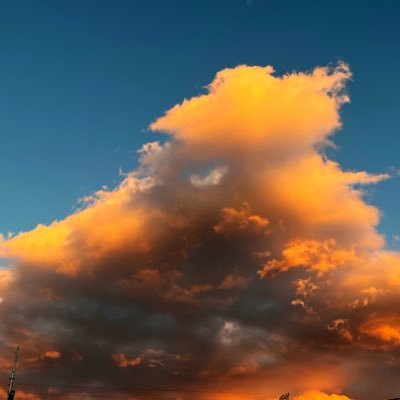 NeSuiei's profile picture. 桃源暗鬼、怪獣8号などなど色んなジャンルにハマってます 夢&腐関係ぜんぜんOK！ 無言フォロー•RT失礼します(＞人＜;) 成人済25↑ 最近見る専になってます