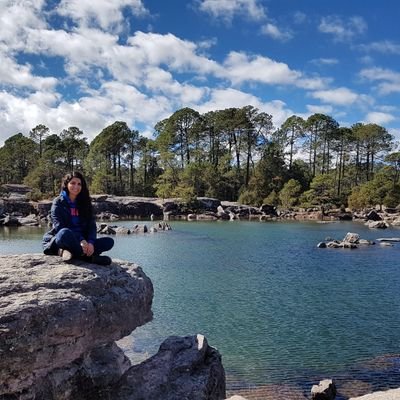 wmarticorena's profile picture. 