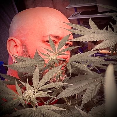 Problem Solver. Free thinker. Stoner. Nature lover. Mostly here for the shits and giggles….mostly.