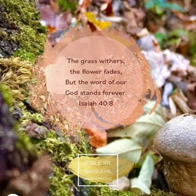 Jane75172128's profile picture. “I keep six honest serving men; they taught me all I knew. There names are What and Where and When and How and Why and Who.”