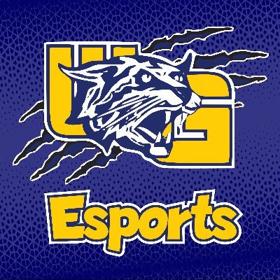 @wghsEsports