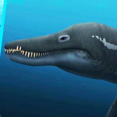 Just an Slavic dude who likes swimming,dinos,history,geogarphy,animals,nature,mythology,religions and etc.