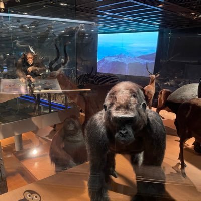 Battyan's profile picture. ダメリーマンからハゲリーマンに移り行く日々… 最近はもっぱらサウナと公営が生きがいになりました。春も花粉症デビュー