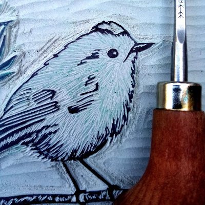 Printmaker whose work is inspired and shaped by the beauty and wildlife of The South Downs and the coast. https://t.co/t0wZGKESCN…