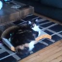 Monica MacPherson - @MonicaMacPhers6 - Twitter