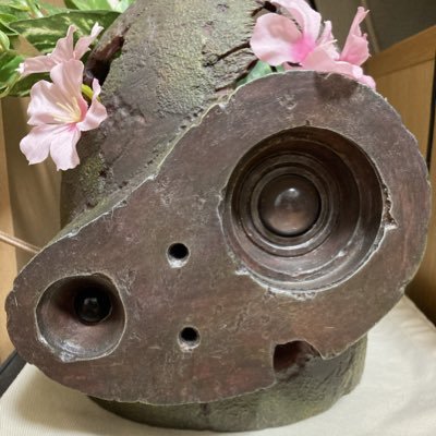 domokun70cm's profile picture. 