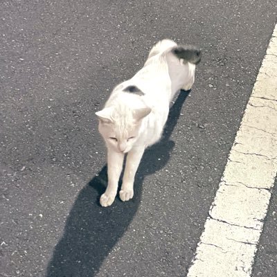 h2PCf7vJZV0ZYCr's profile picture. 25↑/アイマス垢/担当→315:握野英雄・蒼井享介・花園百々人/シンデレラ:一ノ瀬志希・宮本フレデリカ/283:浅倉透・緋田美琴/765:桜守歌織/初星:有村麻央