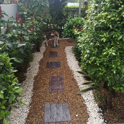 fon6198's profile picture. 