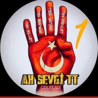 🅰️K SEVGİ TİM 1️⃣(@Ak_SEVG1) 's Twitter Profileg