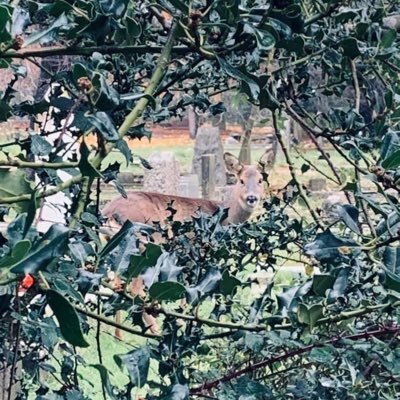 JonFlet57720409's profile picture. Sexton at Durrington Cemetery in Worthing England. grandad, Dad, husband. love my office! ex Sapper ex company director, kids basketball coach.