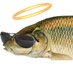 fish (@bigclackers) Twitter profile photo fish (@bigclackers) Twitter profile photo
