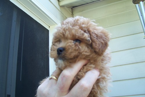 Dan_Massa's profile picture. 