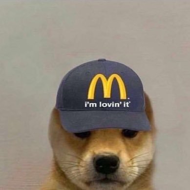 macdogeさんのプロフィール画像
