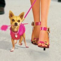 cravatenoire (@cravaterose) 's Twitter Profile